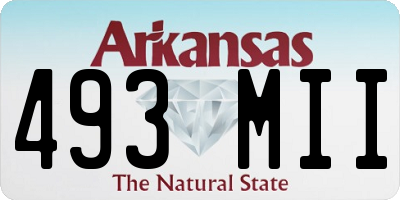 AR license plate 493MII