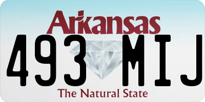 AR license plate 493MIJ