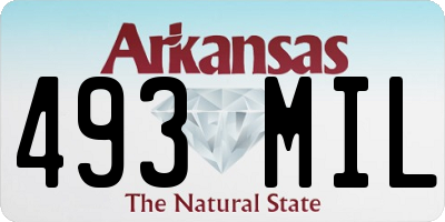 AR license plate 493MIL