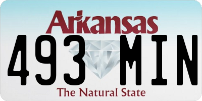 AR license plate 493MIN