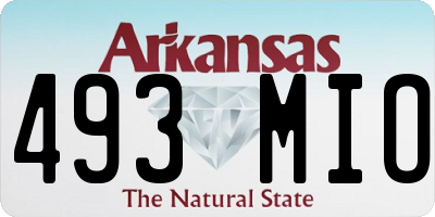 AR license plate 493MIO