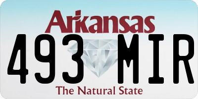 AR license plate 493MIR