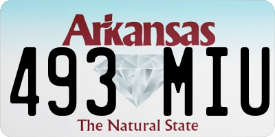 AR license plate 493MIU