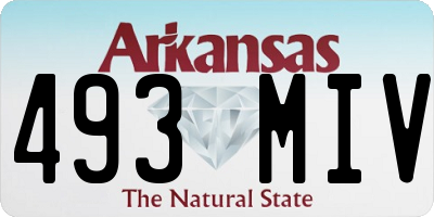 AR license plate 493MIV