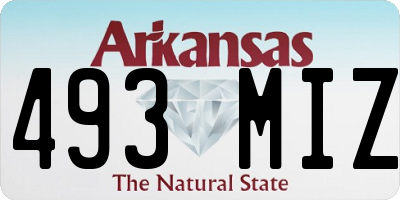 AR license plate 493MIZ