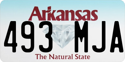 AR license plate 493MJA