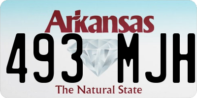 AR license plate 493MJH