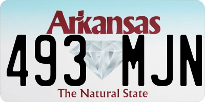 AR license plate 493MJN