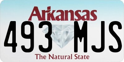 AR license plate 493MJS
