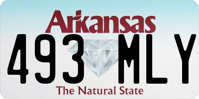 AR license plate 493MLY