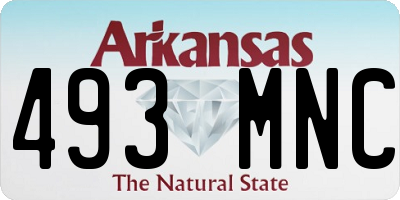 AR license plate 493MNC