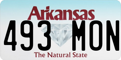 AR license plate 493MON