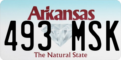 AR license plate 493MSK