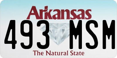 AR license plate 493MSM