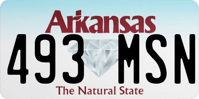AR license plate 493MSN
