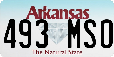 AR license plate 493MSO