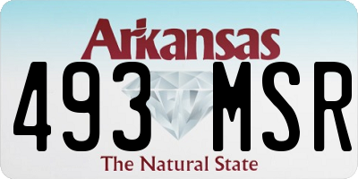 AR license plate 493MSR
