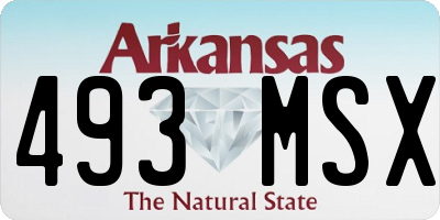 AR license plate 493MSX