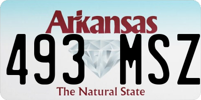 AR license plate 493MSZ