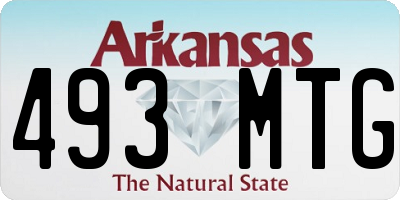 AR license plate 493MTG