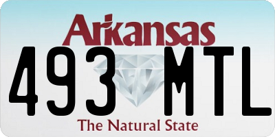 AR license plate 493MTL