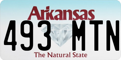 AR license plate 493MTN