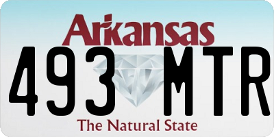 AR license plate 493MTR