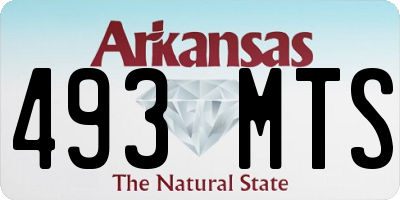 AR license plate 493MTS