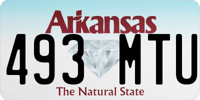 AR license plate 493MTU