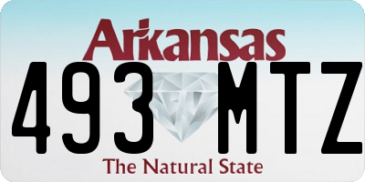 AR license plate 493MTZ