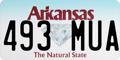 AR license plate 493MUA