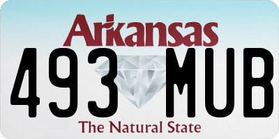 AR license plate 493MUB