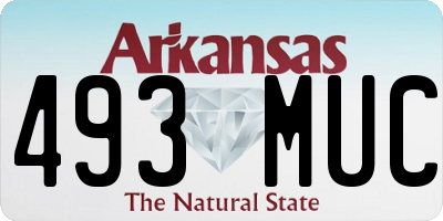 AR license plate 493MUC