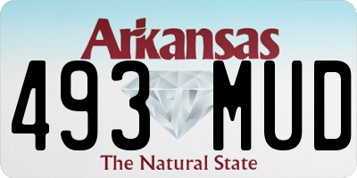 AR license plate 493MUD