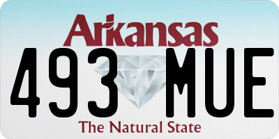 AR license plate 493MUE