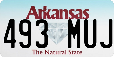 AR license plate 493MUJ