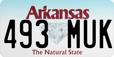 AR license plate 493MUK