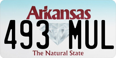 AR license plate 493MUL