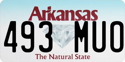 AR license plate 493MUO