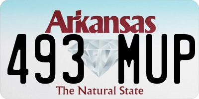 AR license plate 493MUP