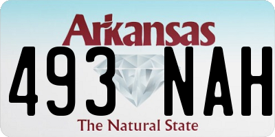AR license plate 493NAH
