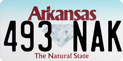 AR license plate 493NAK