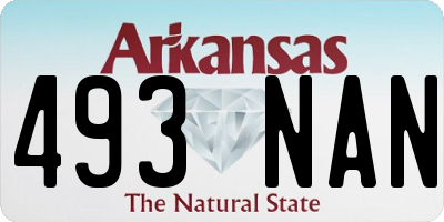 AR license plate 493NAN