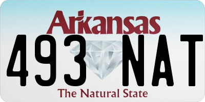 AR license plate 493NAT