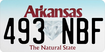 AR license plate 493NBF