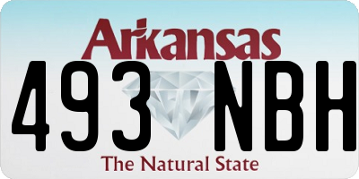 AR license plate 493NBH