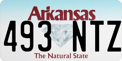 AR license plate 493NTZ