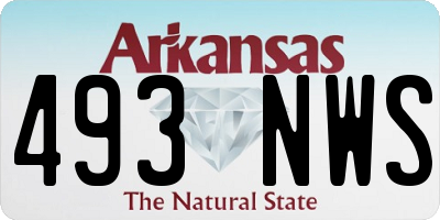 AR license plate 493NWS