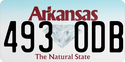 AR license plate 493ODB