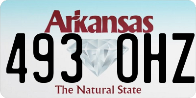 AR license plate 493OHZ